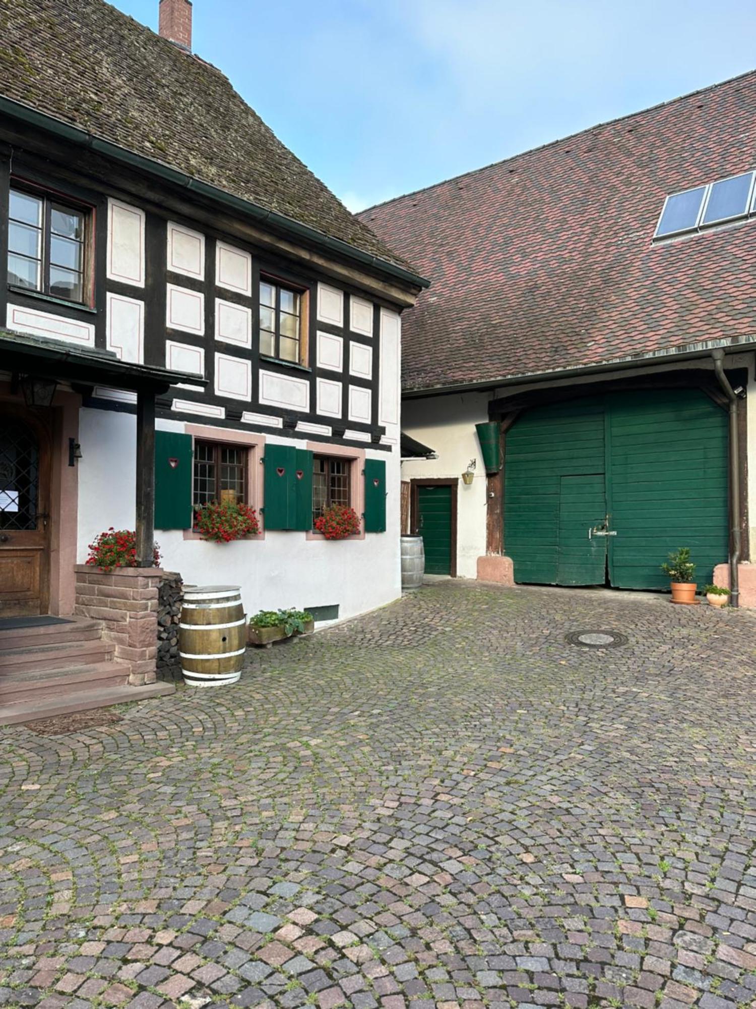 Exklusive Maisonette-Wohnung Am Rande Von Freiburg Merzhausen Extérieur photo