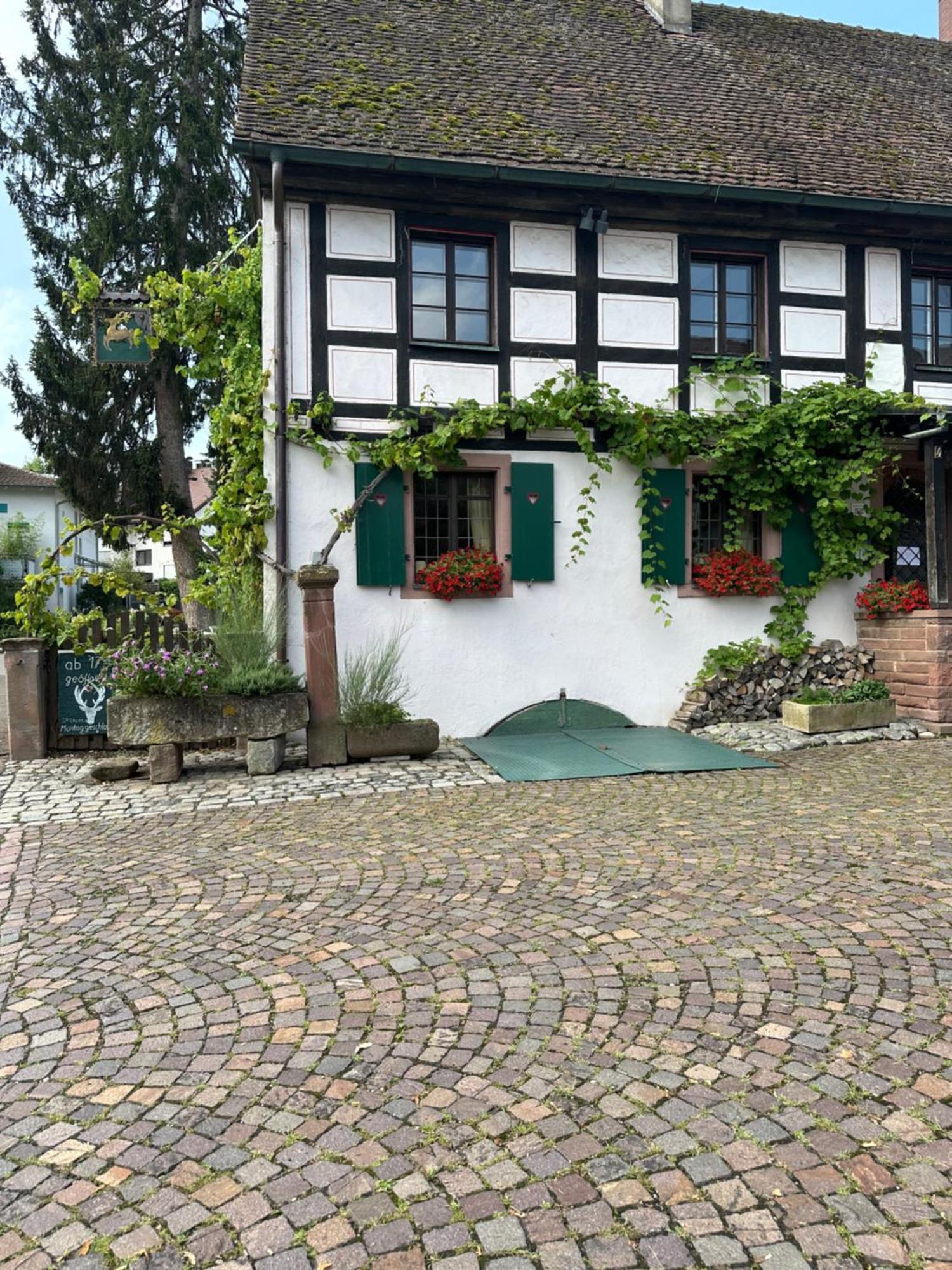 Exklusive Maisonette-Wohnung Am Rande Von Freiburg Merzhausen Extérieur photo